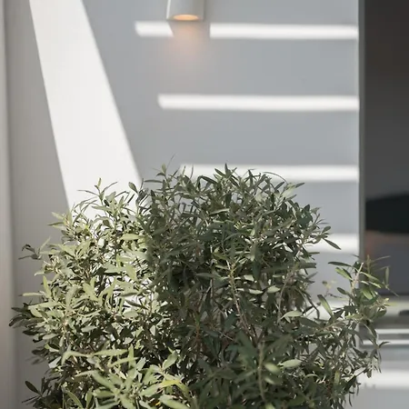 Casa vacanze Luaz Naxian Living Naxos City